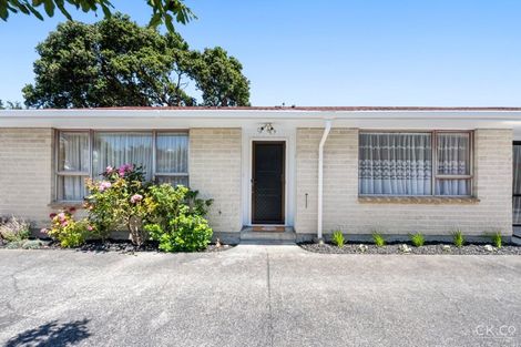 Photo of property in 19 Bloomfield Terrace, Hutt Central, Lower Hutt, 5010
