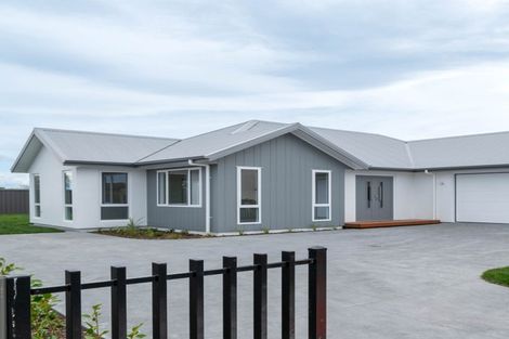 Photo of property in 1229 Howard Street, Parkvale, Hastings, 4122