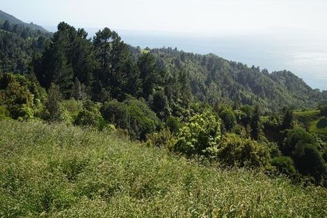 Photo of property in 13c Orokawa Heights Road, Waihi, 3681