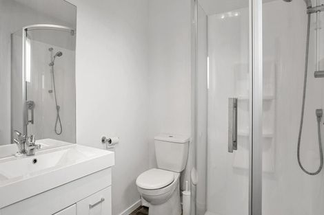 Photo of property in 90 Nixon Street, Hamilton East, Hamilton, 3216