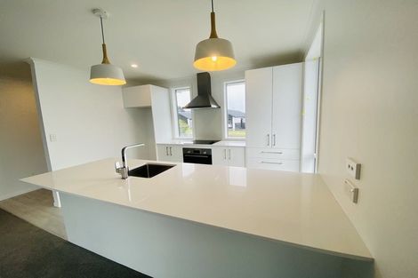 Photo of property in 225 Te Ranga Memorial Drive, Pyes Pa, Tauranga, 3112