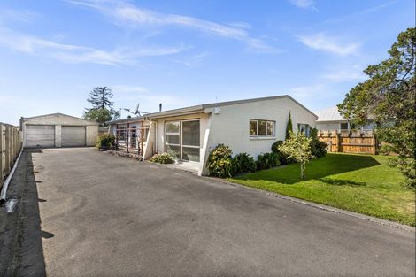 Photo of property in 309 Frederick Street, Mahora, Hastings, 4120