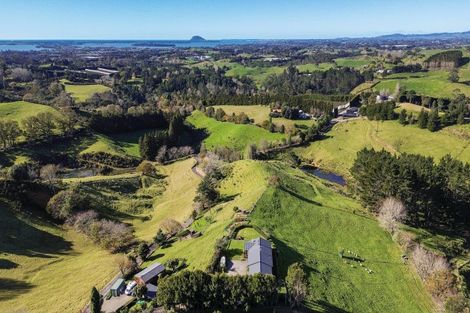 Photo of property in 325d Esdaile Road, Whakamarama, Tauranga, 3180