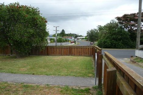 Photo of property in 31 Clothier Street, Putaruru, 3411