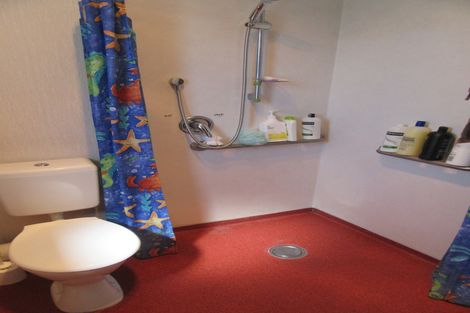 Photo of property in 36 Wilkin Street, Waimate, 7924