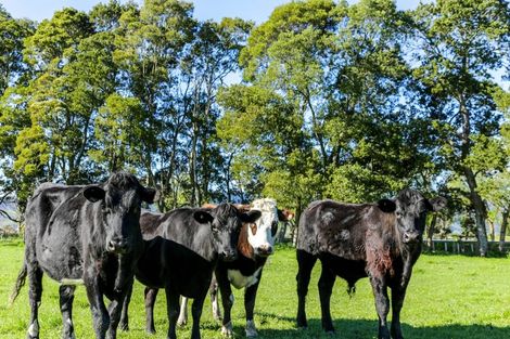 Photo of property in 372 Hauraki Road, Orongo, Thames, 3574