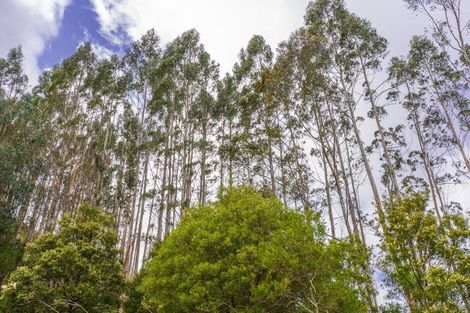 Photo of property in 2171 Parikanapa Road, Tiniroto, Manutuke, 4078