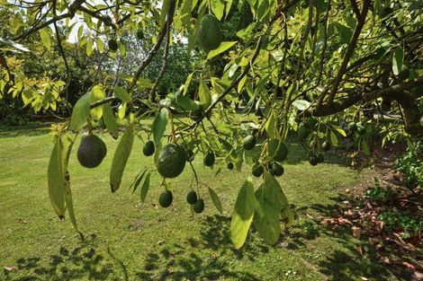 Photo of property in 13 Waingake Road, Manutuke, 4072