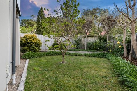 Photo of property in 174a Grange Road, Otumoetai, Tauranga, 3110