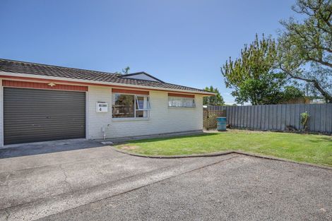 Photo of property in 33/4 Liverpool Street, Levin, 5510