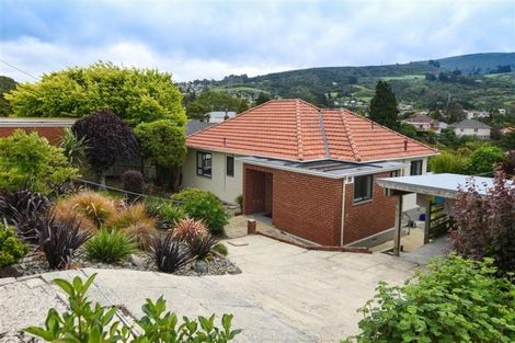 Photo of property in 41 Mayfield Avenue, Wakari, Dunedin, 9010