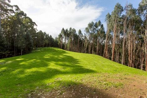 Photo of property in 74 Mick Dillon Road, Tahekeroa, Kaukapakapa, 0873