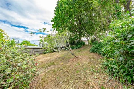 Photo of property in 31 Takapu Street, Henderson, Auckland, 0612