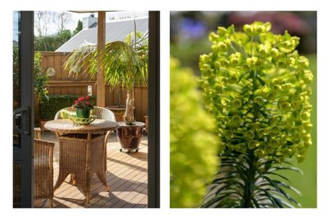 Photo of property in 47 Hollister Lane, Ohauiti, Tauranga, 3112