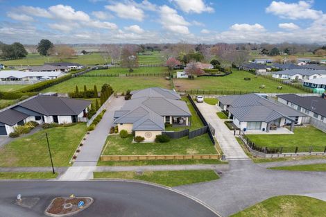 Photo of property in 5 Kelso Place, Matamata, 3400