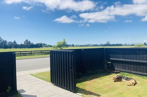 Photo of property in 10 Devlin Avenue, Rangiora, 7400