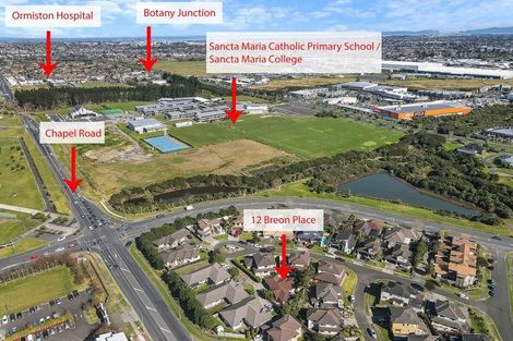 Photo of property in 12 Breon Place, Flat Bush, Auckland, 2016