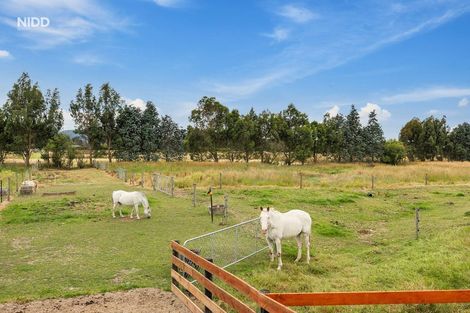 Photo of property in 347 Riccarton Road West, Mosgiel, 9092