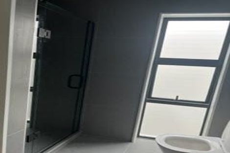 Photo of property in 30 Pilot Drive, Hobsonville, Auckland, 0616