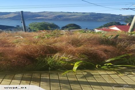 Photo of property in 41 Manapouri Street, Ravensbourne, Dunedin, 9022
