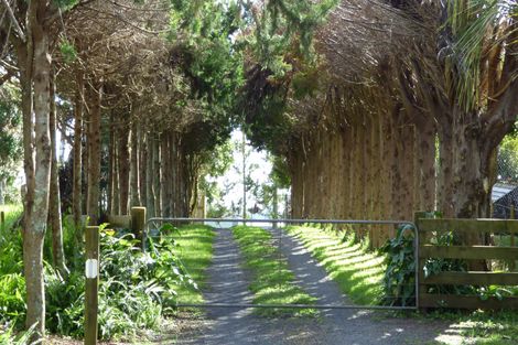 Photo of property in 365 Pungaere Road, Waipapa, Kerikeri, 0295