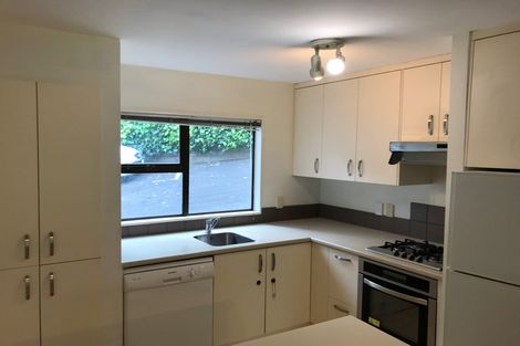 Photo of property in 8e Arotau Place, Grafton, Auckland, 1023