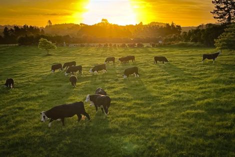 Photo of property in 1034 Ararimu Road, Ararimu, Drury, 2579