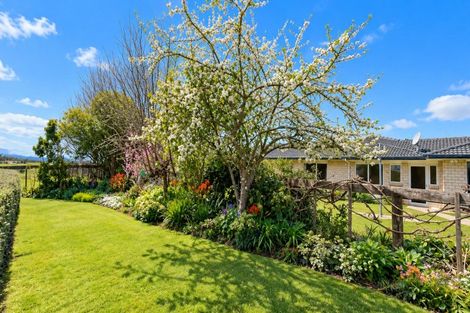 Photo of property in 17 Orchard Road, Te Kauwhata, 3782