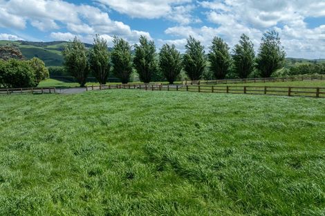 Photo of property in Manion Lane, Morrinsville, 3371