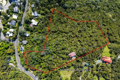 Photo of property in 100 Seaview Road, Piha, New Lynn, 0772