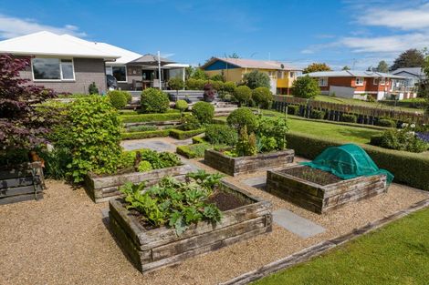 Photo of property in 85 Kensington Street, Putaruru, 3411