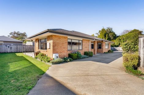 Photo of property in 55a Seyton Street, Stratford, 4332