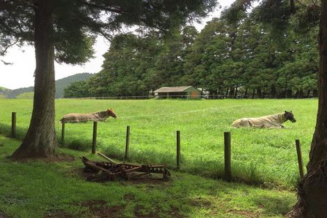 Photo of property in 505 Golden Valley Road, Waihi, 3681