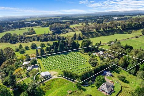 Photo of property in 2/792 No 2 Road, Te Ranga, Te Puke, 3182