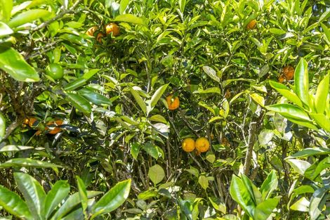 Photo of property in 1029d Akatarawa Road, Akatarawa, Upper Hutt, 5372