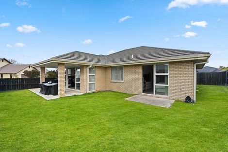 Photo of property in 22 Ladeira Place, Fitzroy, Hamilton, 3206