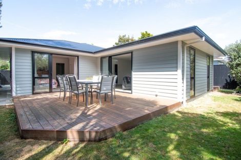 Photo of property in 22a Alfred Street, Roslyn, Palmerston North, 4414