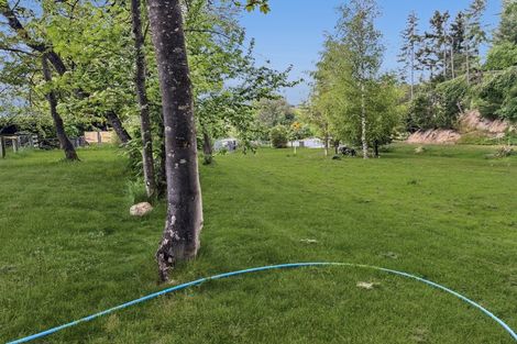 Photo of property in 4 Allen Street, Naseby, 9396