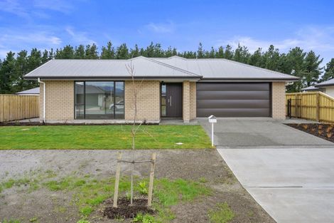 Photo of property in 71 Hilton Drive, Amberley, 7410