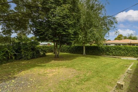 Photo of property in Bethlehem Road, Bethlehem, Tauranga, 3110