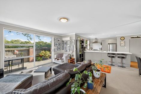 Photo of property in 20 Lindores Street, Addington, Christchurch, 8024