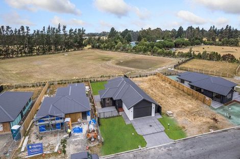 Photo of property in 45 Greig Crescent, Amberley, 7481