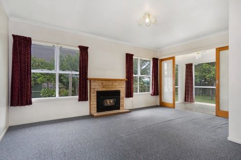Photo of property in 117 Fourteenth Avenue, Tauranga South, Tauranga, 3112