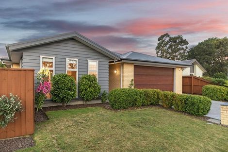 Photo of property in 91 Kaniere Avenue, Hei Hei, Christchurch, 8042