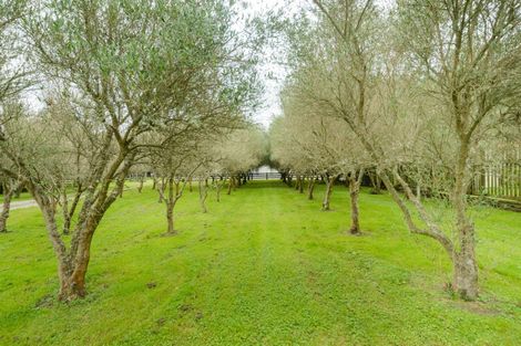 Photo of property in 1633 State Highway 3, Awahuri, Palmerston North, 4476
