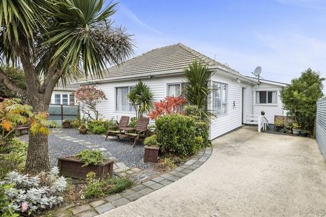Photo of property in 42 Puketai Street, Andersons Bay, Dunedin, 9013