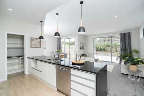 Photo of property in 29a Shrule Place, Huntington, Hamilton, 3210