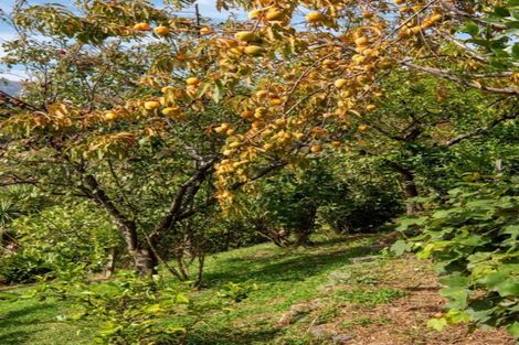 Photo of property in 217 Beach Road, Akaroa, 7520