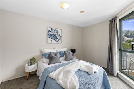 Photo of property in Palm Grove Apartments, 11/13d Palm Grove, Berhampore, Wellington, 6023