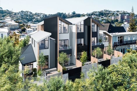 Photo of property in 25c Thompson Street, Mount Cook, Wellington, 6011